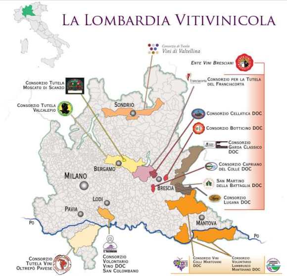 Lombardiavitivinicola_new